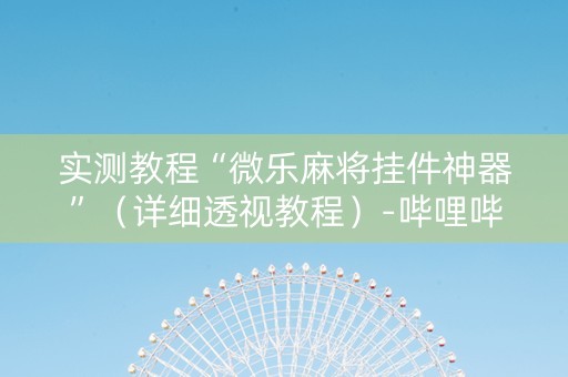 实测教程“微乐麻将挂件神器”（详细透视教程）-哔哩哔哩