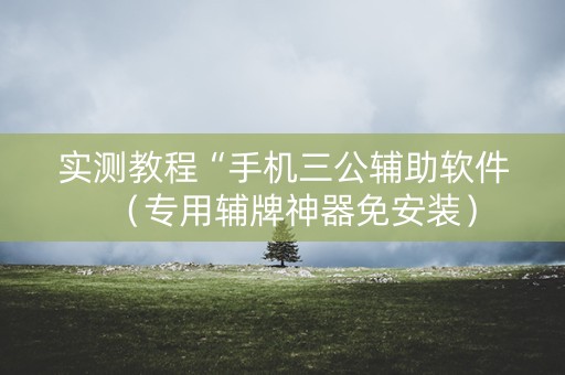 实测教程“手机三公辅助软件（专用辅牌神器免安装）