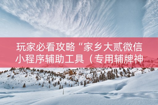 玩家必看攻略“家乡大贰微信小程序辅助工具（专用辅牌神器免安装）