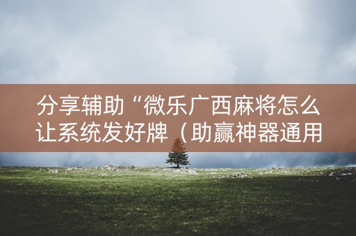 分享辅助“微乐广西麻将怎么让系统发好牌（助赢神器通用版）