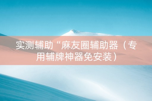 实测辅助“麻友圈辅助器（专用辅牌神器免安装）