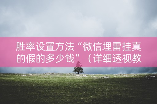 胜率设置方法“微信埋雷挂真的假的多少钱”（详细透视教程）-哔哩哔哩
