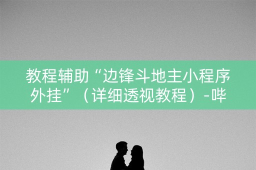 教程辅助“边锋斗地主小程序外挂”（详细透视教程）-哔哩哔哩