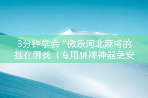 3分钟学会“微乐河北麻将的挂在哪找（专用辅牌神器免安装）