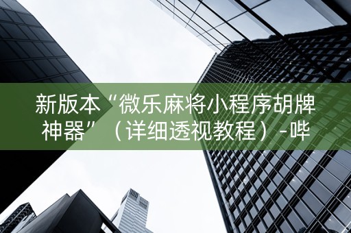 新版本“微乐麻将小程序胡牌神器”（详细透视教程）-哔哩哔哩