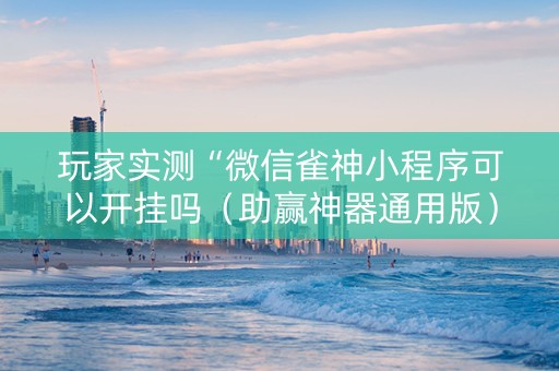 玩家实测“微信雀神小程序可以开挂吗（助赢神器通用版）
