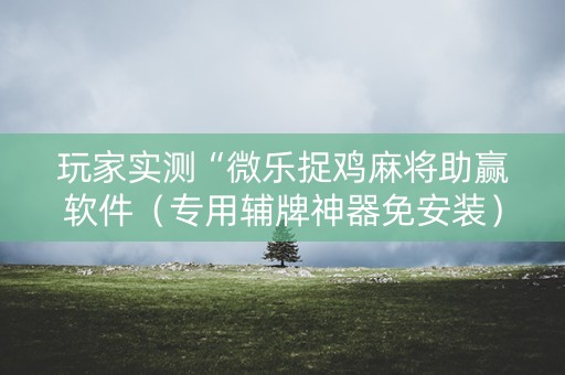 玩家实测“微乐捉鸡麻将助赢软件（专用辅牌神器免安装）