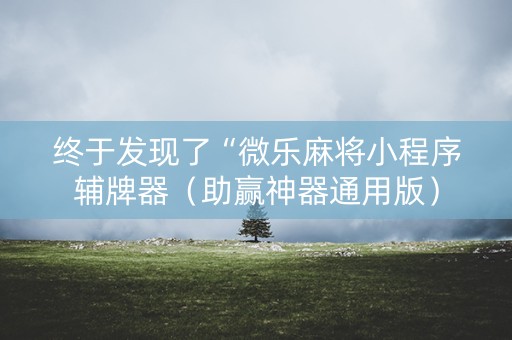 终于发现了“微乐麻将小程序辅牌器（助赢神器通用版）