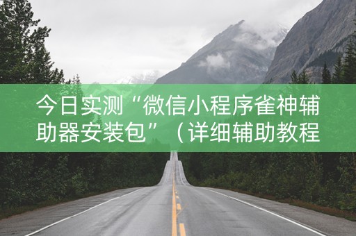 今日实测“微信小程序雀神辅助器安装包”（详细辅助教程）-哔哩哔哩