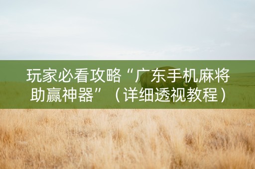 玩家必看攻略“广东手机麻将助赢神器”（详细透视教程）-哔哩哔哩