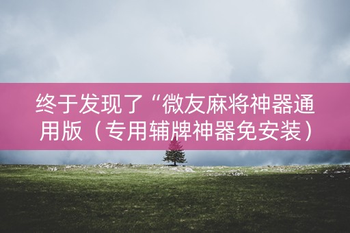 终于发现了“微友麻将神器通用版（专用辅牌神器免安装）