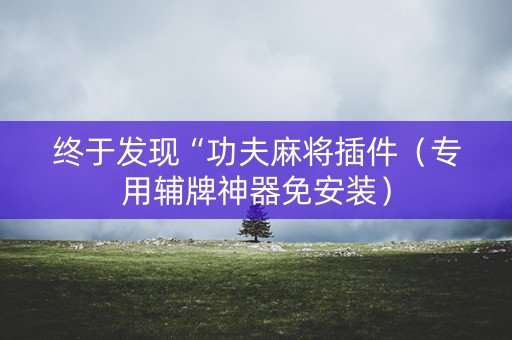 终于发现“功夫麻将插件（专用辅牌神器免安装）