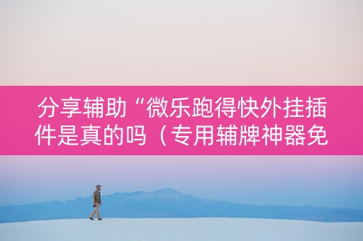 分享辅助“微乐跑得快外挂插件是真的吗（专用辅牌神器免安装）