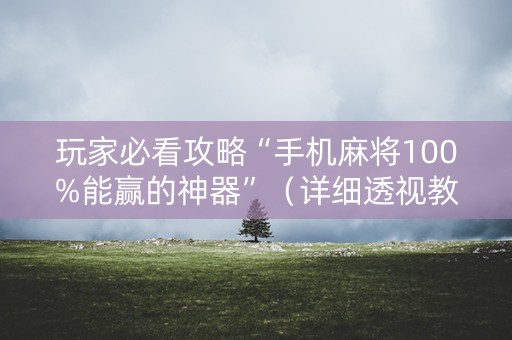 玩家必看攻略“手机麻将100%能赢的神器”（详细透视教程）-哔哩哔哩