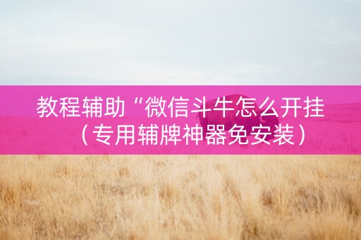 教程辅助“微信斗牛怎么开挂（专用辅牌神器免安装）