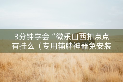 3分钟学会“微乐山西扣点点有挂么（专用辅牌神器免安装）