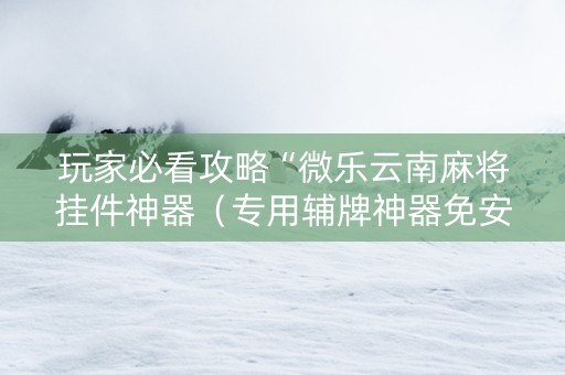 玩家必看攻略“微乐云南麻将挂件神器（专用辅牌神器免安装）