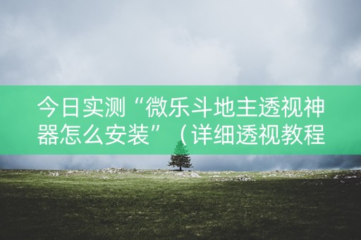 今日实测“微乐斗地主透视神器怎么安装”（详细透视教程）-哔哩哔哩