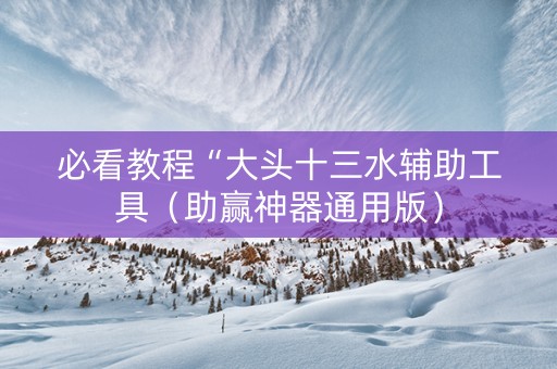 必看教程“大头十三水辅助工具（助赢神器通用版）