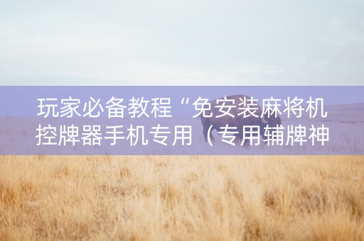 玩家必备教程“免安装麻将机控牌器手机专用（专用辅牌神器免安装）