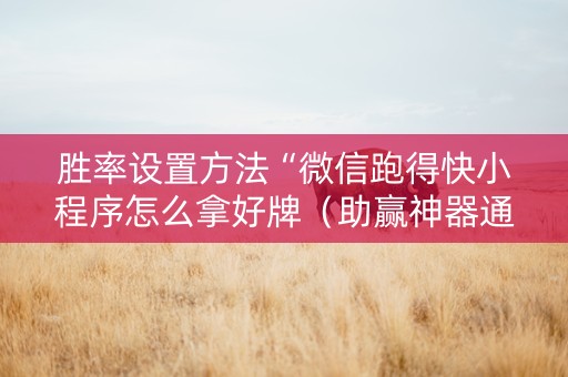 胜率设置方法“微信跑得快小程序怎么拿好牌（助赢神器通用版）