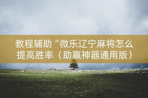 教程辅助“微乐辽宁麻将怎么提高胜率（助赢神器通用版）