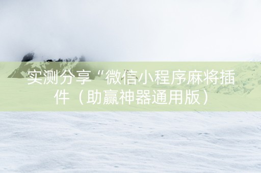 实测分享“微信小程序麻将插件（助赢神器通用版）