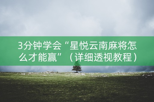 3分钟学会“星悦云南麻将怎么才能赢”（详细透视教程）-哔哩哔哩