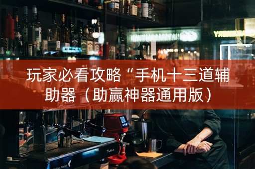 玩家必看攻略“手机十三道辅助器（助赢神器通用版）