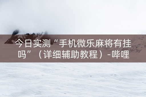今日实测“手机微乐麻将有挂吗”（详细辅助教程）-哔哩哔哩