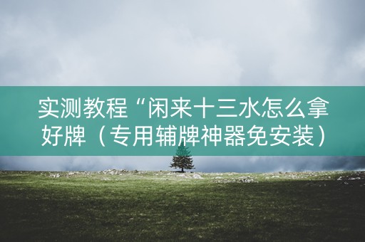 实测教程“闲来十三水怎么拿好牌（专用辅牌神器免安装）