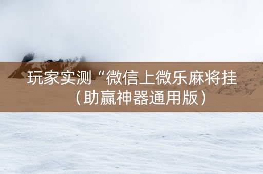 玩家实测“微信上微乐麻将挂（助赢神器通用版）