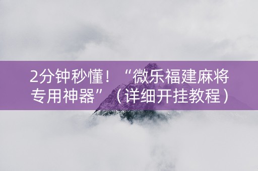 2分钟秒懂！“微乐福建麻将专用神器”（详细开挂教程）-哔哩哔哩