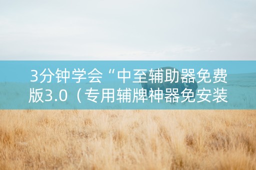 3分钟学会“中至辅助器免费版3.0（专用辅牌神器免安装）