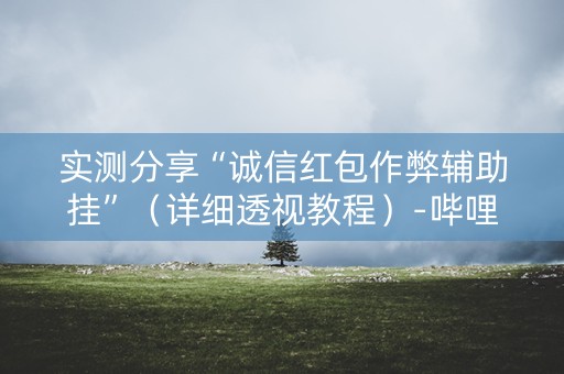 实测分享“诚信红包作弊辅助挂”（详细透视教程）-哔哩哔哩