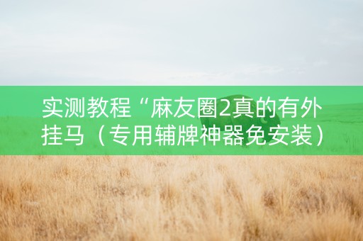 实测教程“麻友圈2真的有外挂马（专用辅牌神器免安装）