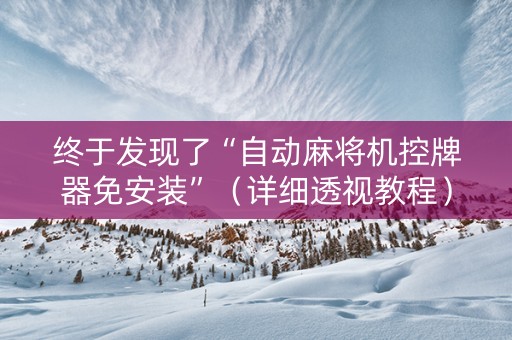 终于发现了“自动麻将机控牌器免安装”（详细透视教程）-哔哩哔哩