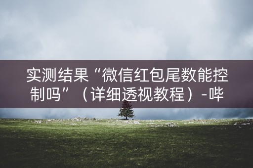 实测结果“微信红包尾数能控制吗”（详细透视教程）-哔哩哔哩