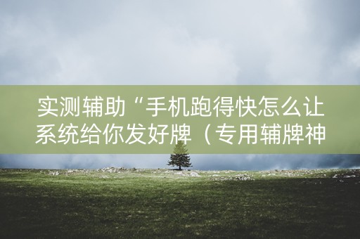 实测辅助“手机跑得快怎么让系统给你发好牌（专用辅牌神器免安装）