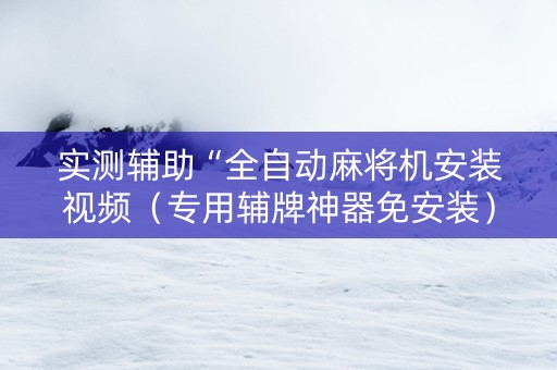 实测辅助“全自动麻将机安装视频（专用辅牌神器免安装）