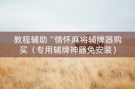 教程辅助“情怀麻将辅牌器购买（专用辅牌神器免安装）