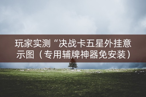 玩家实测“决战卡五星外挂意示图（专用辅牌神器免安装）