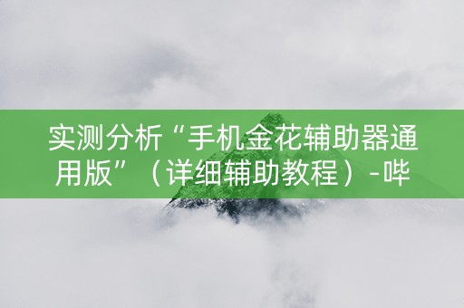 实测分析“手机金花辅助器通用版”（详细辅助教程）-哔哩哔哩