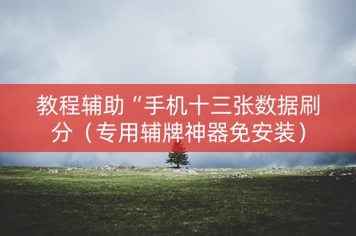 教程辅助“手机十三张数据刷分（专用辅牌神器免安装）