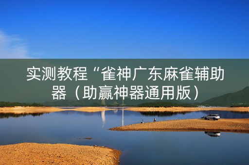 实测教程“雀神广东麻雀辅助器（助赢神器通用版）
