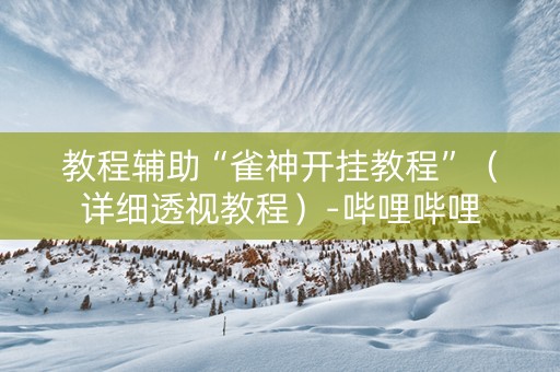 教程辅助“雀神开挂教程”（详细透视教程）-哔哩哔哩