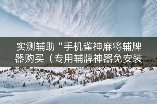 实测辅助“手机雀神麻将辅牌器购买（专用辅牌神器免安装）