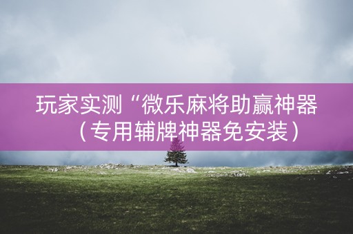 玩家实测“微乐麻将助赢神器（专用辅牌神器免安装）