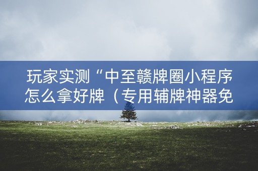 玩家实测“中至赣牌圈小程序怎么拿好牌（专用辅牌神器免安装）