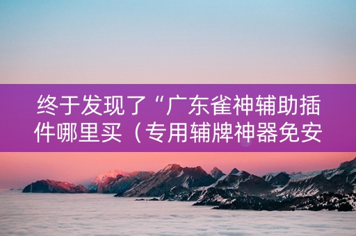 终于发现了“广东雀神辅助插件哪里买（专用辅牌神器免安装）